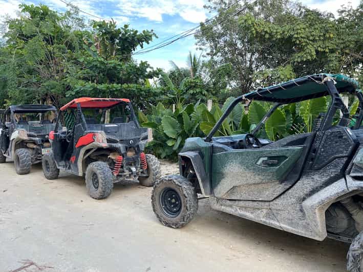 Mayan Buggy And Cenote Excursion - Key Points