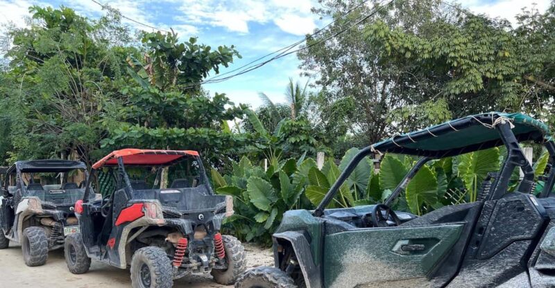 Mayan Buggy And Cenote Excursion - Cenote Visit
