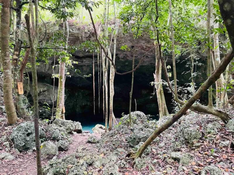Mayan Buggy And Cenote Excursion - Inclusions and Safety