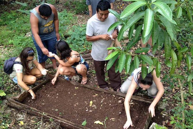 Mayan Community - Frequently Asked Questions