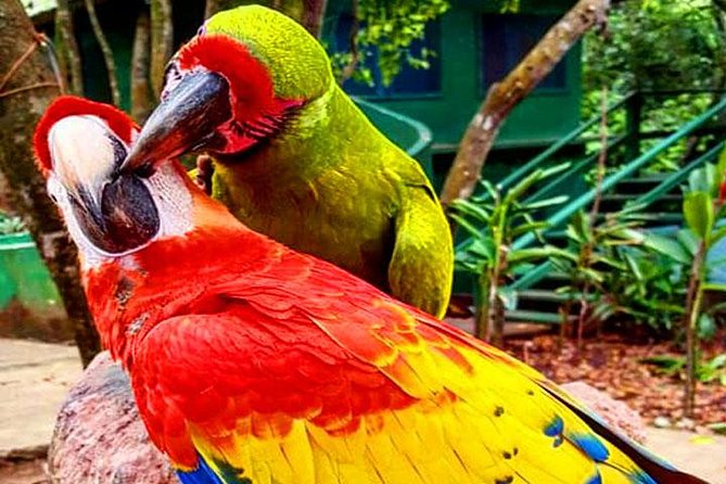 Mayan Eden Eco Wildlife Park, City Tour & Private Transfer - Visiting Chocolate and Rum Factories