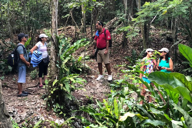 Mayan Jungle Jeep to Amber Caves, Natural Sinkhole and Snorkel - Inclusions and Meeting Point