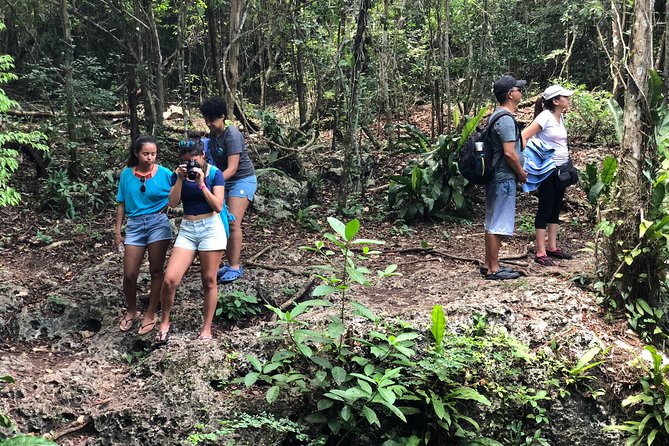 Mayan Jungle Jeep to Amber Caves, Natural Sinkhole and Snorkel - Customer Feedback and Recommendations