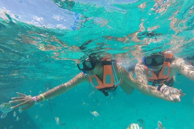 Mayan Jungle Tour: Speed Boat, Snorkel and Snack - Playa Mujeres and Puerto Morelos Pickup