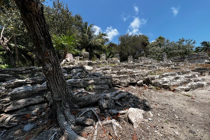Mayan Ruins El Meco With Transportation in Cancun - Transportation and Guides