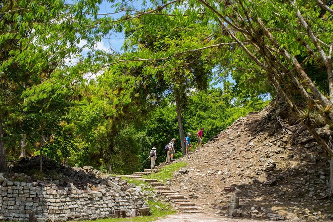 Mayan Ruins of Copan Day Trip From San Pedro Sula - Museum and Bird Park Visits