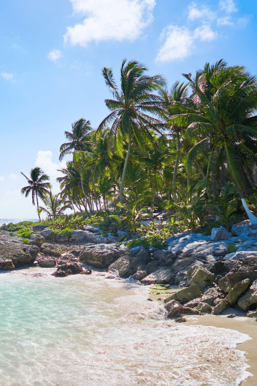 Mayan Ruins of Tulum Coba and Cenote - Tour Highlights