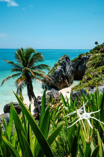 Mayan Tour 4x1: Tulum, Coba, Cenote & Playa Del Carmen - Coba Archaeological Zone and Cenote