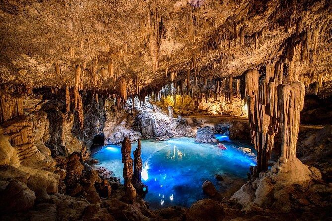 Mayan Underworld Experience (Cenote-Museum) - Tour Experience