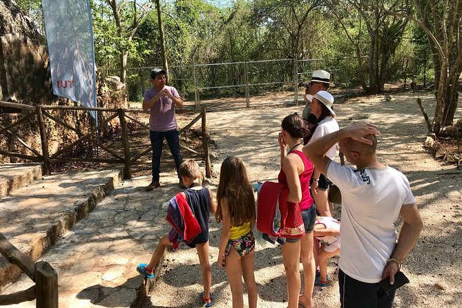 Mayan Underworld Experience (Cenote-Museum) - Accessibility and Participation