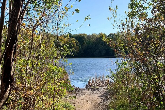 Maybury State Park Guided Hiking and Trail Running Trips - Key Points