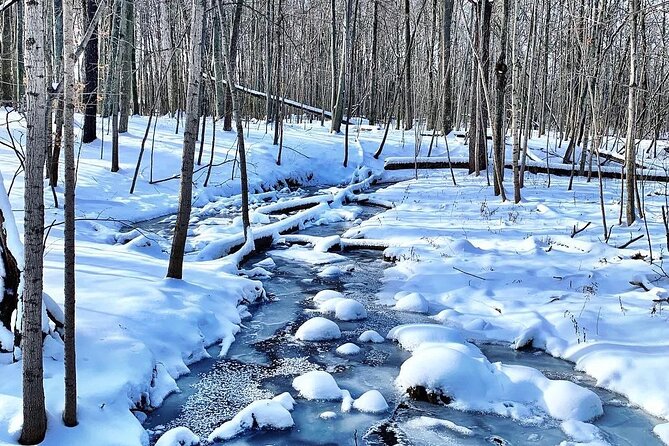 Maybury State Park Guided Hiking and Trail Running Trips - Trail Routes and Difficulty Levels