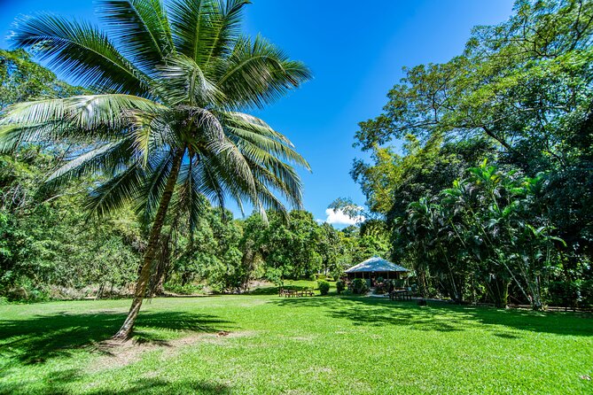 Mayfield Falls Adventure Plus River Walk With Bus Transport - Booking Your Stay