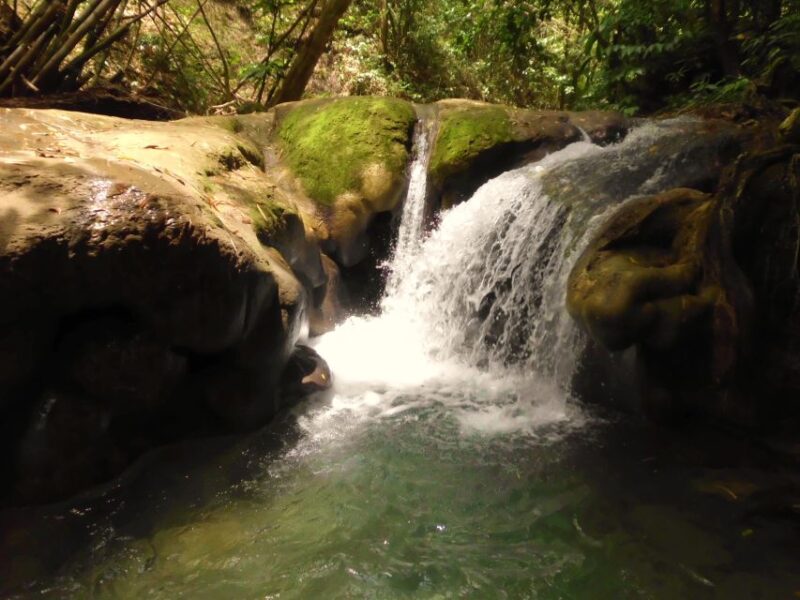 Mayfield Falls and Ricks Café Tour With Transportation - Booking Information
