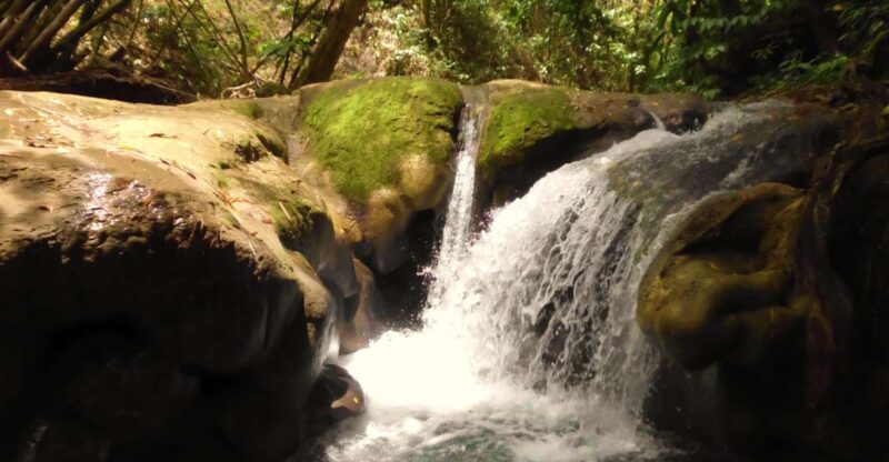 Mayfield Falls and Ricks Café Tour With Transportation - Transportation and Itinerary