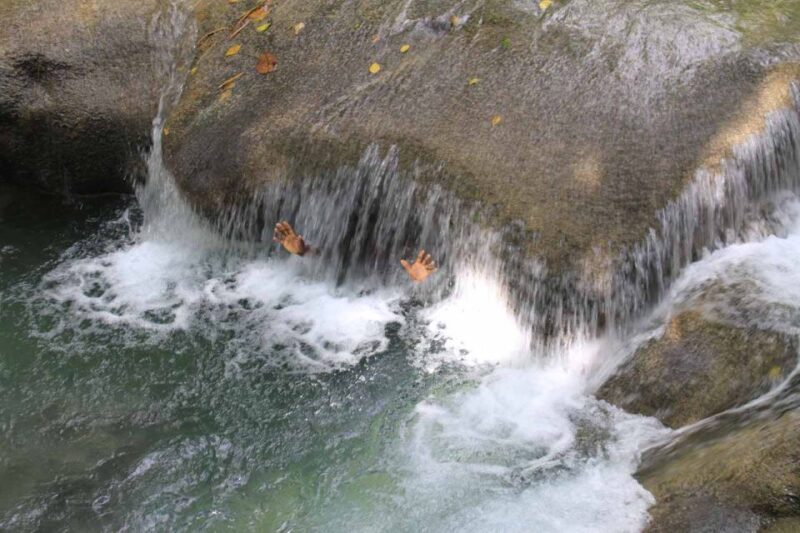 Mayfield Falls and Ricks Café Tour With Transportation - Exploring Mayfield Falls