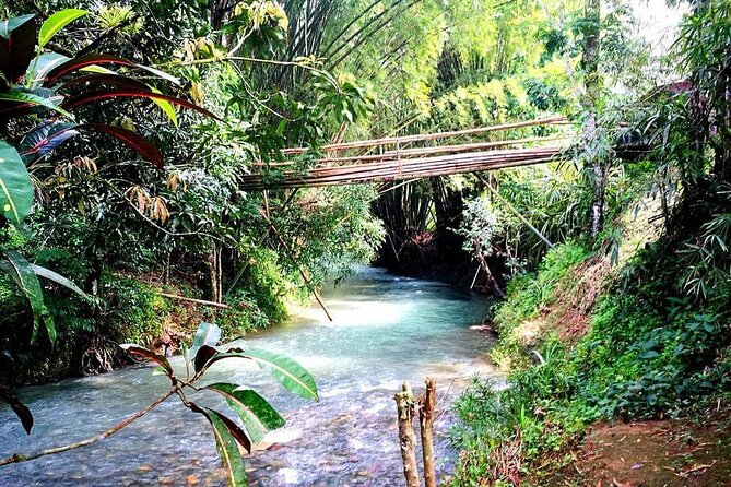 Mayfield Falls, Blue Hole & Ricks Cafe Tours With Lunch & Drink - Pickup and Meeting Details