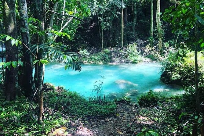 Mayfield Falls, Blue Hole & Ricks Cafe Tours With Lunch & Drink - Discovering the Blue Hole