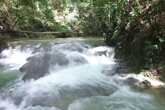 Mayfield Falls River Walk Private Tour - Tour Overview and Details