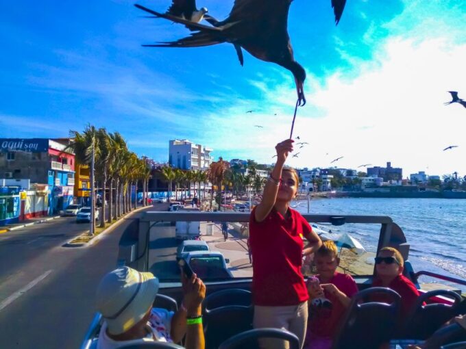 Mazatlán: Double-Decker Bus, Cliff Diving & Walking Tour - Frequently Asked Questions