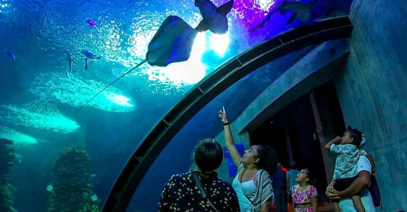 Mazatlan: Grand Aquarium Ticket and City Sightseeing Tour - Key Points