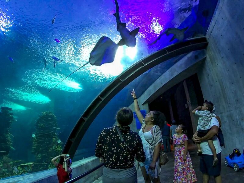 Mazatlan: Grand Aquarium Ticket and City Sightseeing Tour - Tour Highlights