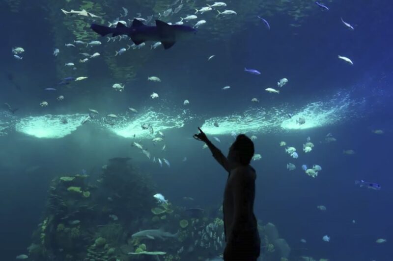 Mazatlan: Grand Aquarium Ticket and City Sightseeing Tour - City Sightseeing Tour