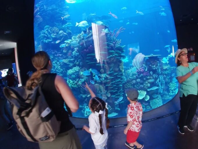 Mazatlan: Grand Aquarium Ticket and City Sightseeing Tour - Frequently Asked Questions