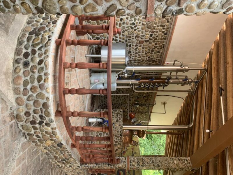 Mazatlan: Hot Springs With Lunch and Transportation - Key Points