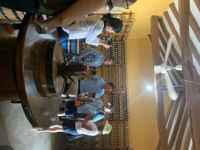 Mazatlan: Hot Springs With Lunch and Transportation - Included Amenities