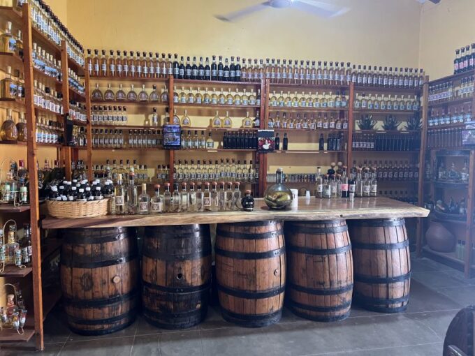 Mazatlan: Hot Springs With Lunch and Transportation - Tequila Tastings and Tour