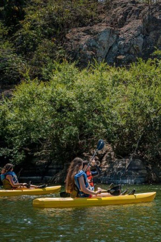 Mazatlan: Kayaking on the River - Dining and Cuisine