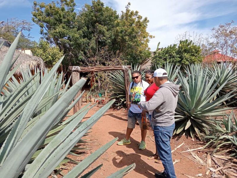 Mazatlan: Mezcal Factory Tour With Tasting and Lunch - Lunch Menu and Details