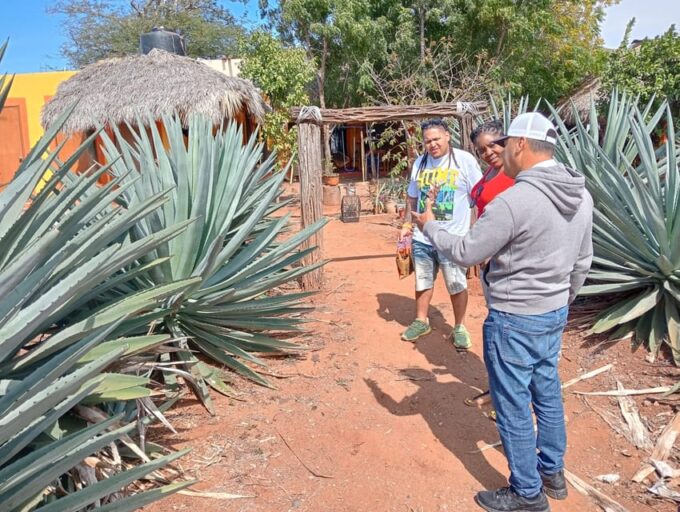 Mazatlan: Mezcal Factory Tour With Tasting and Lunch - Recommendations for Participants