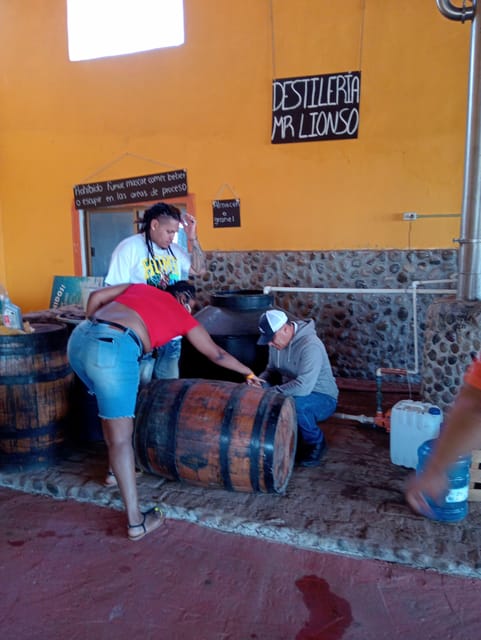 Mazatlan: Mezcal Factory Tour With Tasting and Lunch - Customer Feedback and Ratings