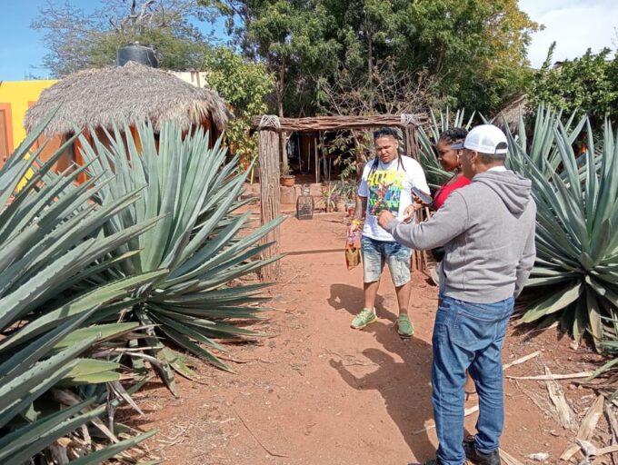 Mazatlan: Mezcal Factory Tour With Tasting and Lunch - Accessibility and Cancellation Policy