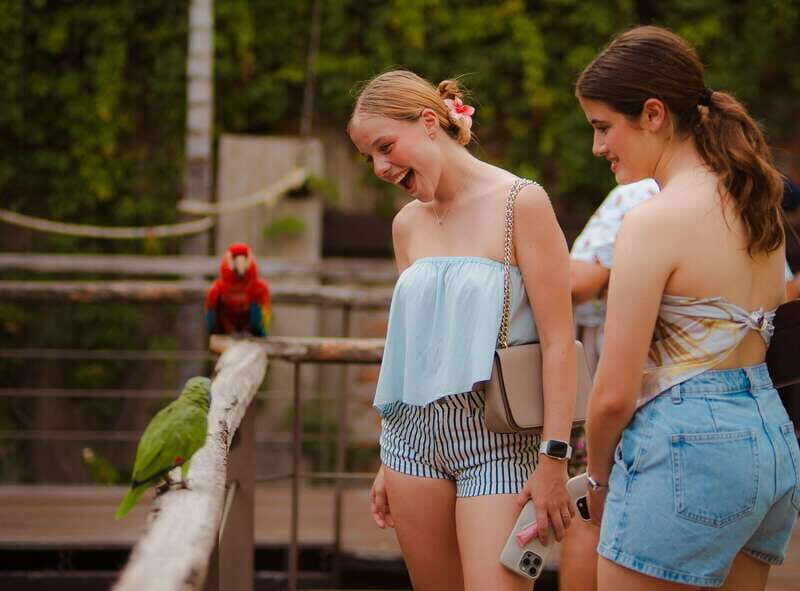 Mazatlán: Observatorio 1873 Cultural & Nature Experience - How to Get There and What to Expect