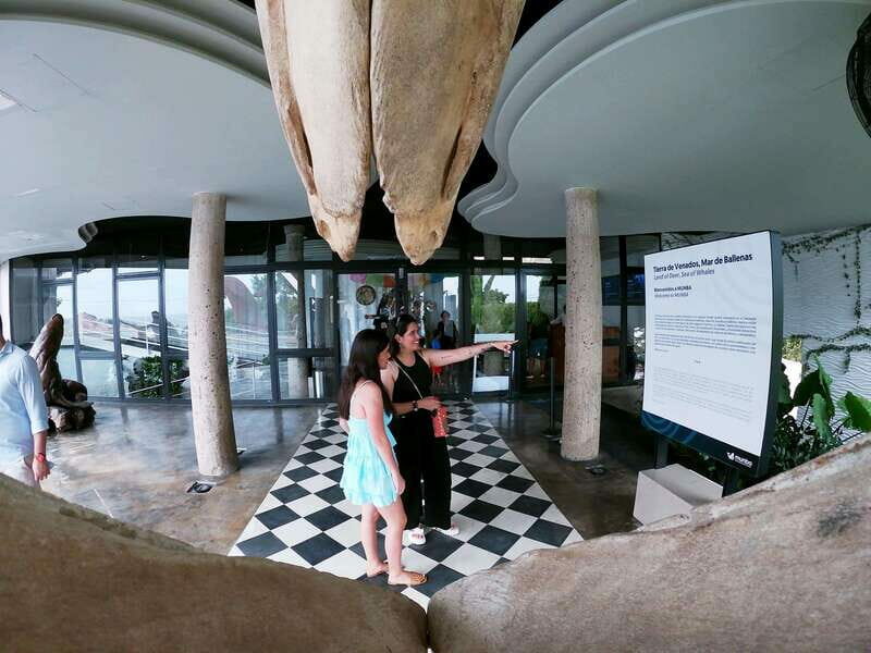 Mazatlán: Observatorio 1873 Cultural & Nature Experience - The National Whale Interactive Museum and the Sky Bar