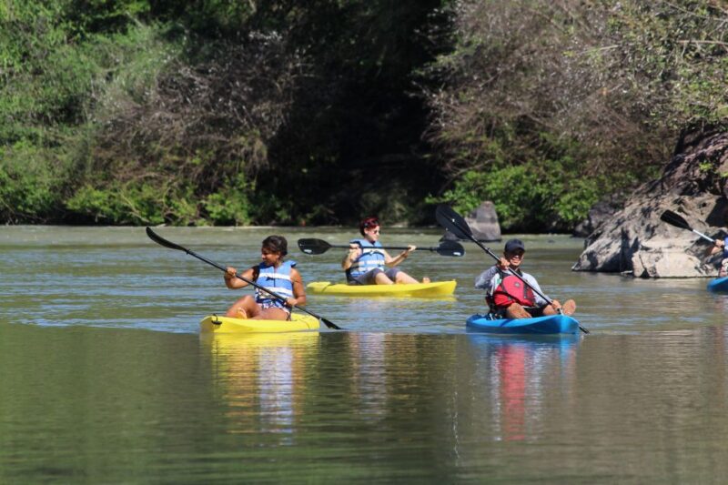 Mazatlan: River Kayaking With Lunch & Tequila Tasting - Riverside Scenery