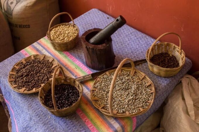Mazatlán: Sierra Madre Villages Tour - Copala Discovery