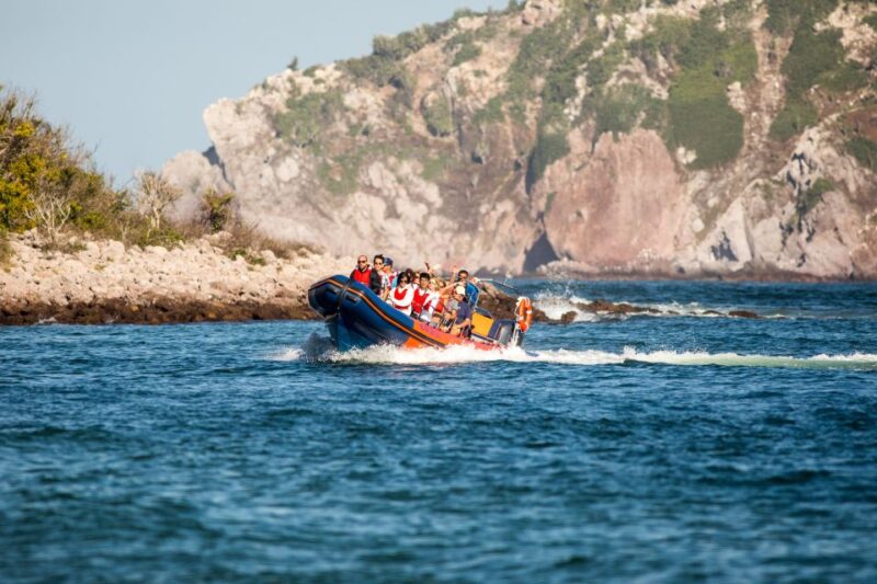 Mazatlan: Ten Islands Boating Expedition - Key Points