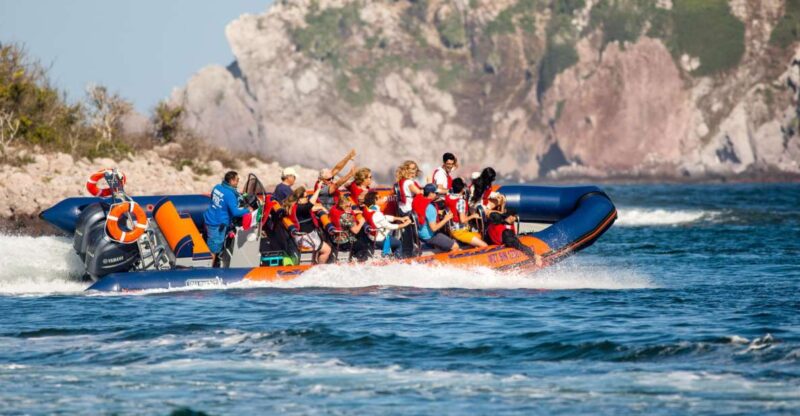 Mazatlan: Ten Islands Boating Expedition - Expedition Highlights