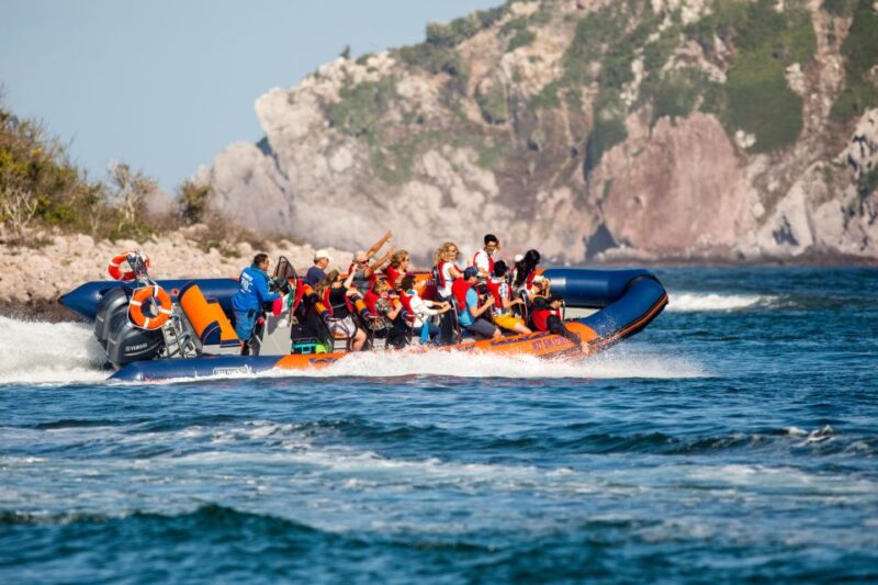 Mazatlan: Ten Islands Boating Expedition - Boat and Guidance