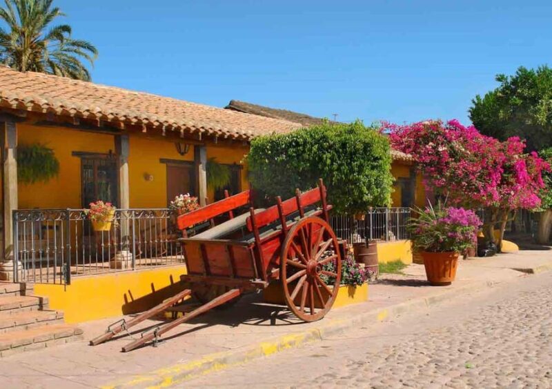 Mazatlan: Tequila Factory and El Quelite Tour - Tequila Factory Tour