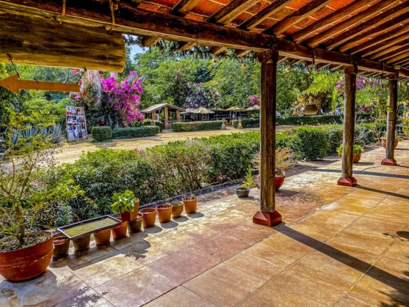 Mazatlán: Tequila Factory & Country Sightseeing - Itinerary Highlights