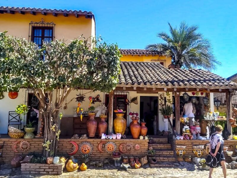 Mazatlán: Tequila Factory & Country Sightseeing - Important Information