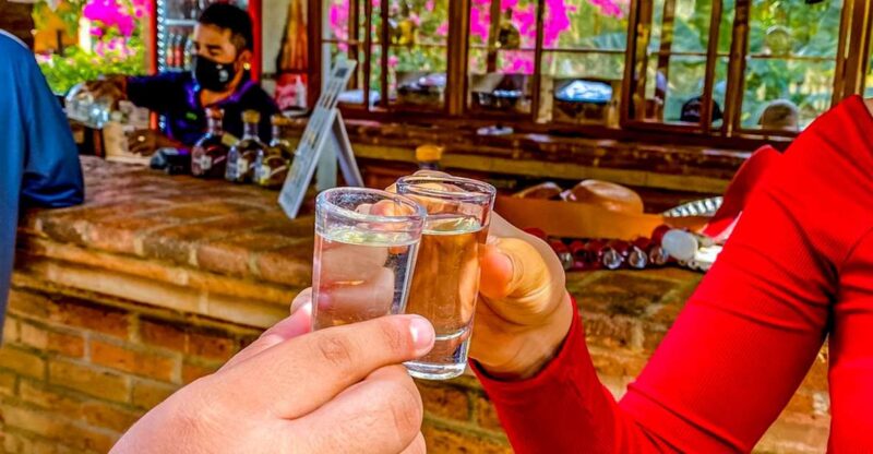 Mazatlán: Tequila Factory & Country Sightseeing - Exploring La Noria
