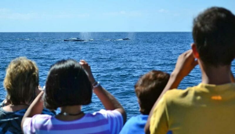 Mazatlán: Whale-Watching Boat Tour with Marine Experts - Key Points