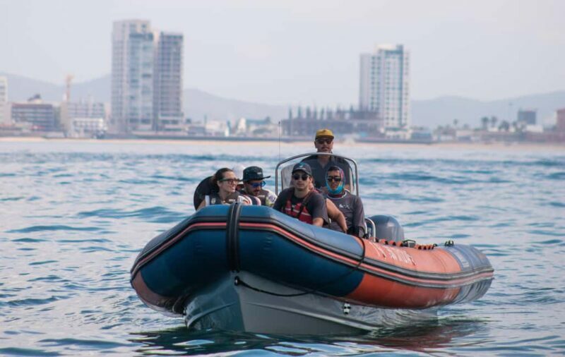 Mazatlán: Whale-Watching Boat Tour with Marine Experts - The Experience from a Travelers Perspective