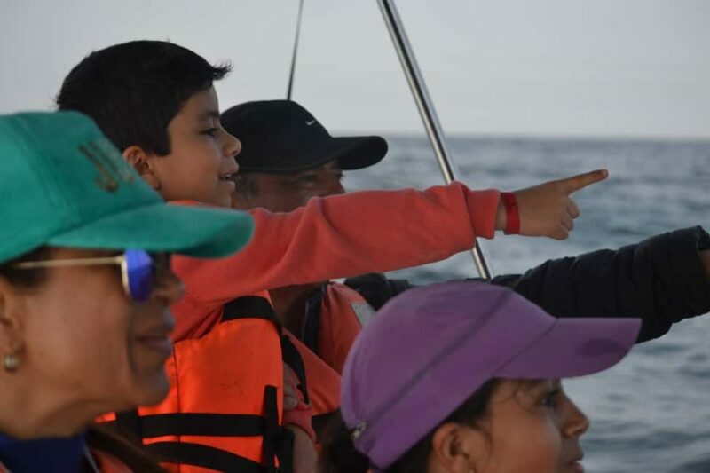 Mazatlán: Whale-Watching Boat Tour with Marine Experts - Who Would Love This Tour?